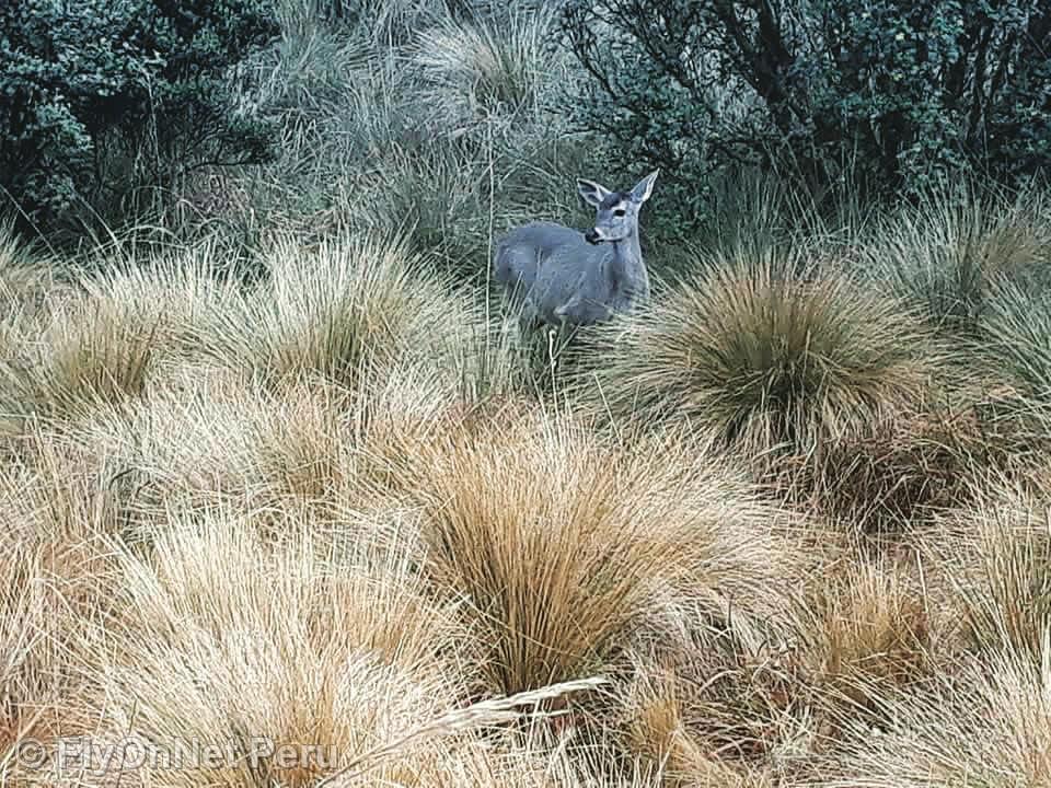 Album fotografico: Sentiero Inca
