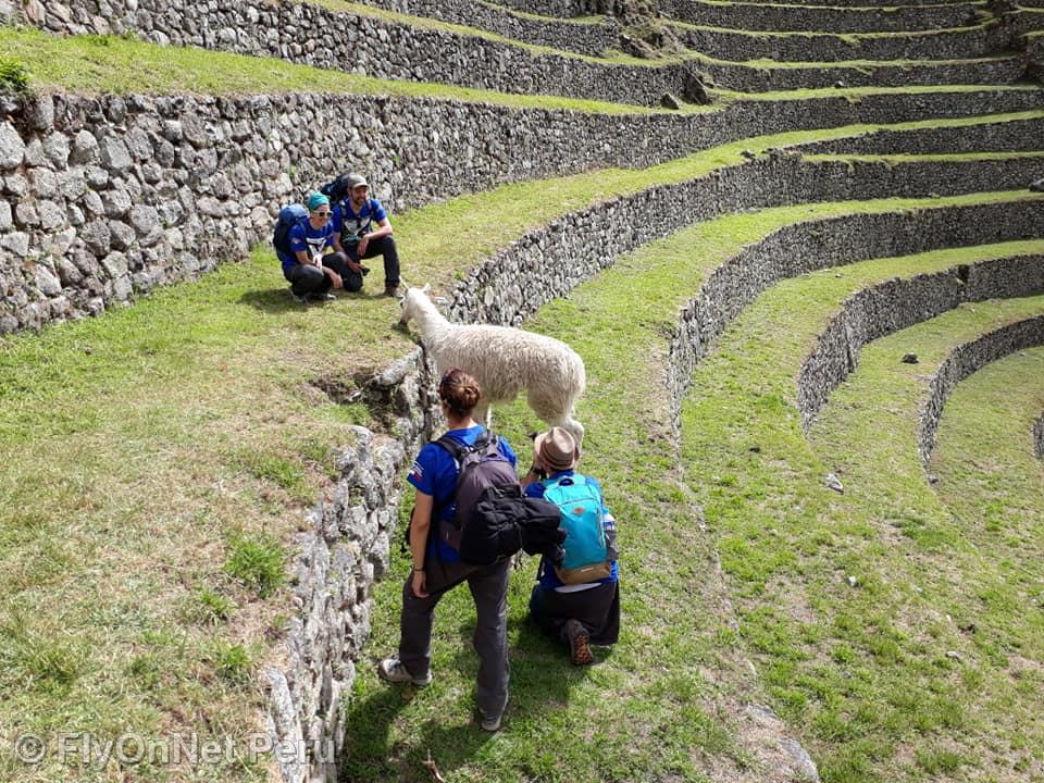 Album fotografico: Machu Picchu
