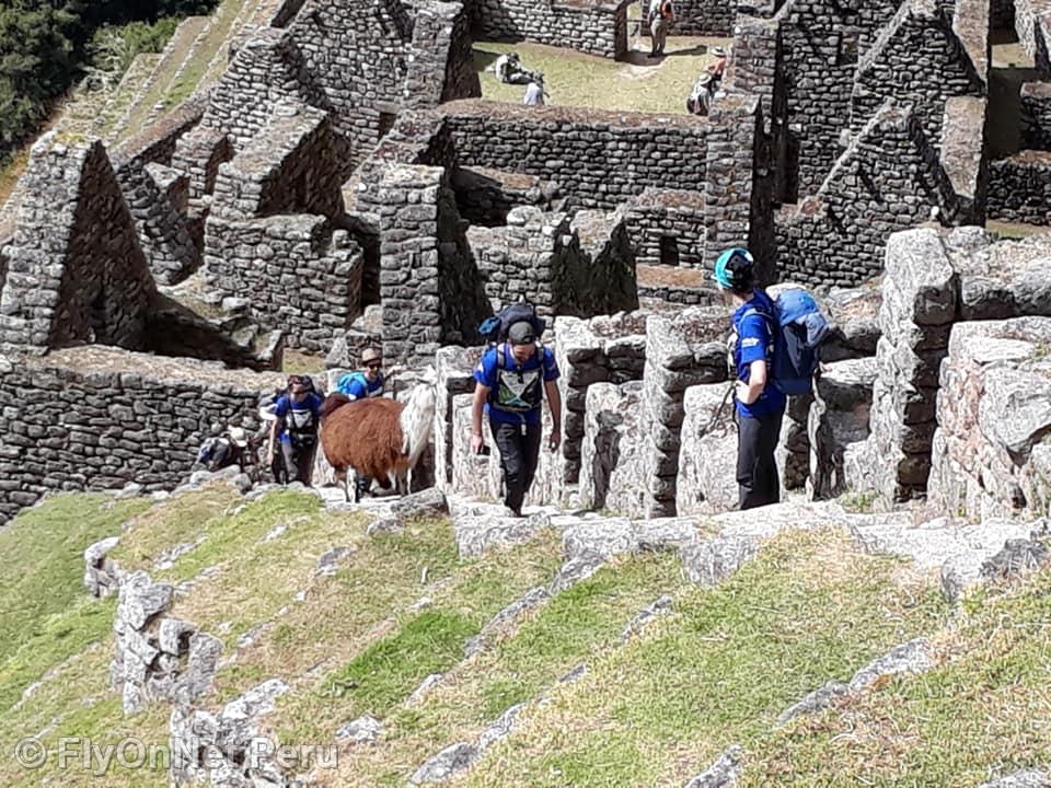Album fotografico: Machu Picchu